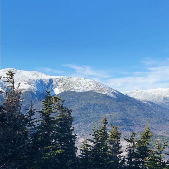 Meet your Posher, Sasha - Picture 1 of 1